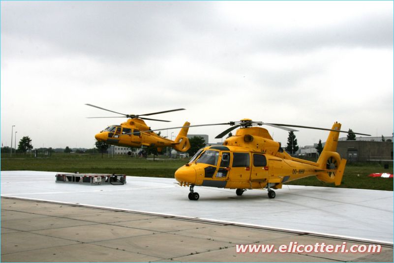 elifoto (141)